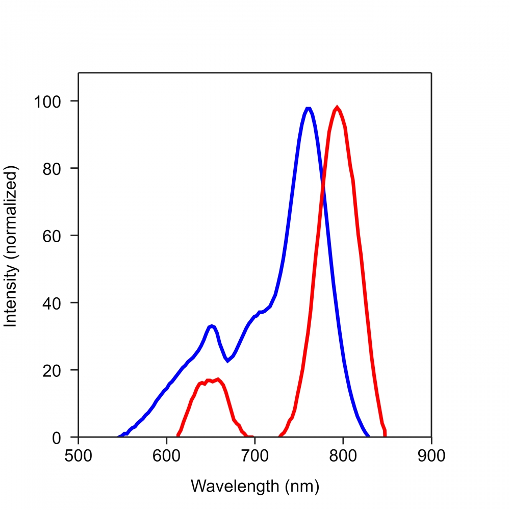 APC-iFluor 750  AlexaFluor750T