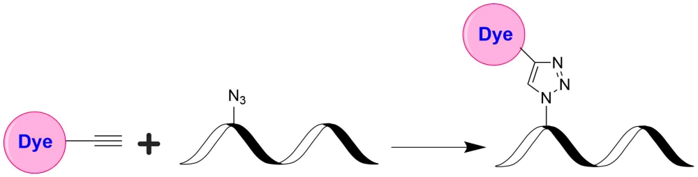 Tide Quencher™5WS炔烃