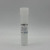 G418溶液（50mg/ml)
