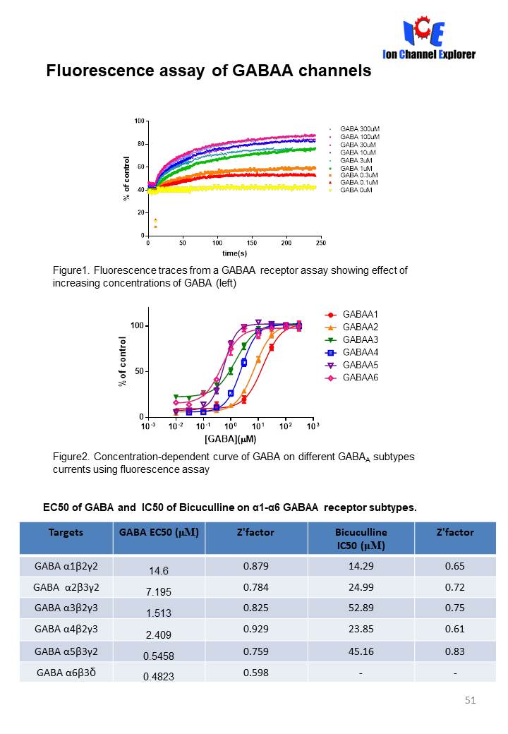 1586334800849079.jpg GABA离子通道检测
