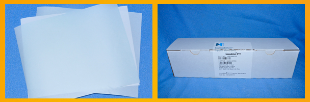 Millipore PVDF膜 0.45u 柏奥易杰分装