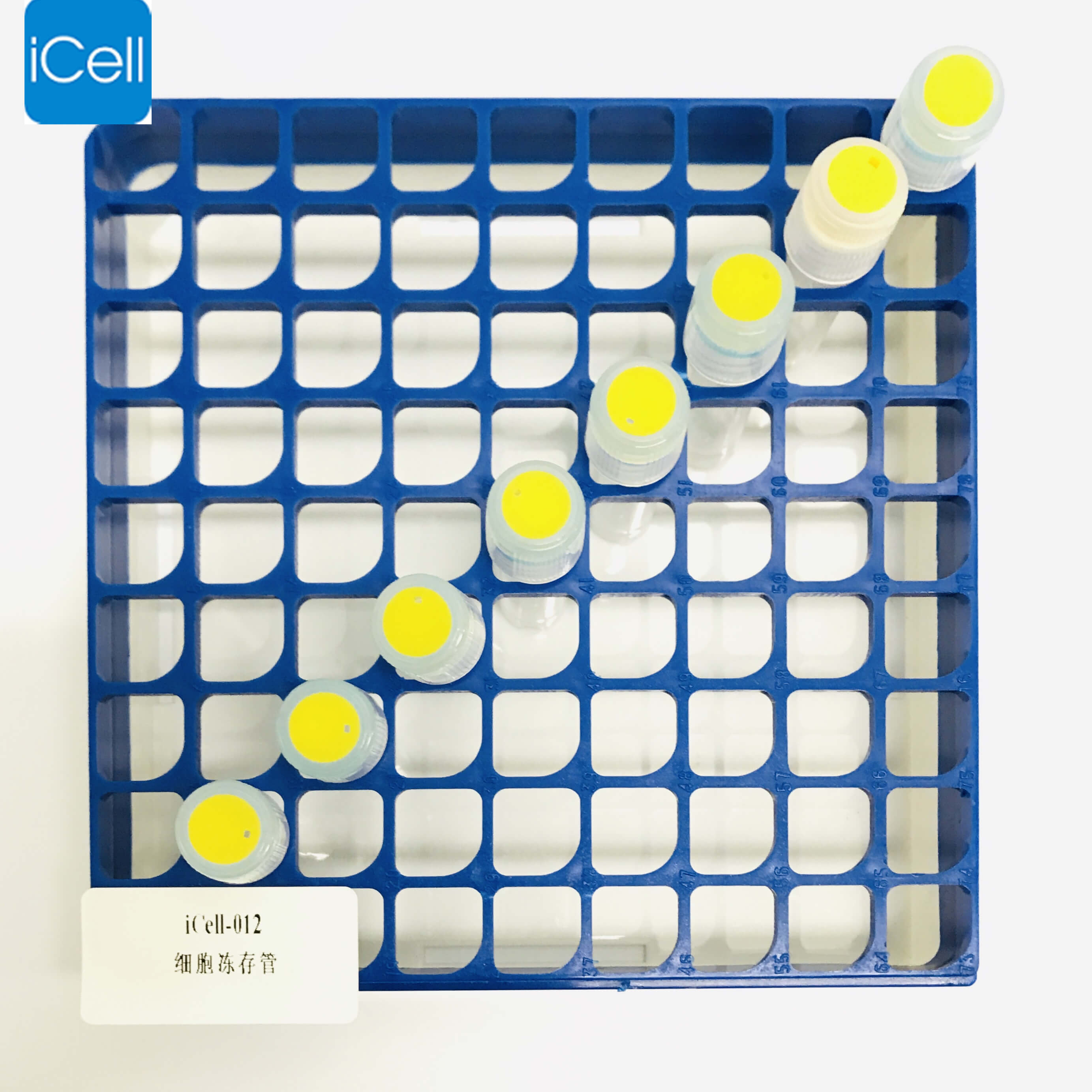 1579056414276077207.jpg IMG_3734.jpg