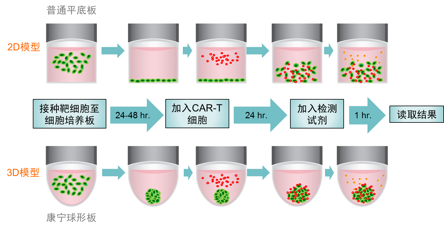康宁超低吸附表面球形板