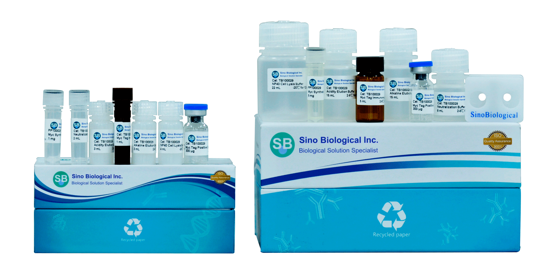 Immunoprecipitation Kit -MYC Tag Immunomagnetic Beads