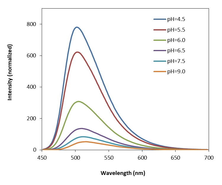 Protonex™ 绿色 500 Dextran