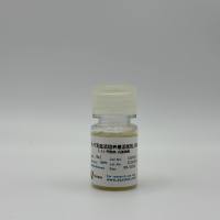 B27无血清培养基添加剂 50X