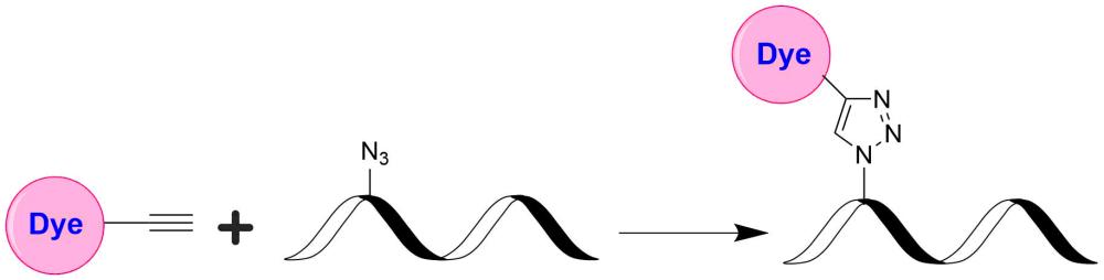 Tide Quencher™7WS炔烃