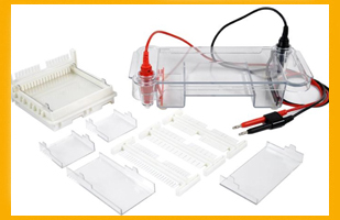 通用型水平电泳仪