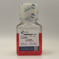 胰酶细胞消化液0.25%(溶于PBS)