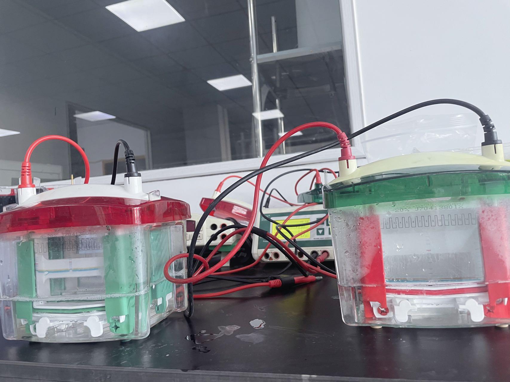 豚鼠白介素4(IL-4)ELISA试剂盒免费代测