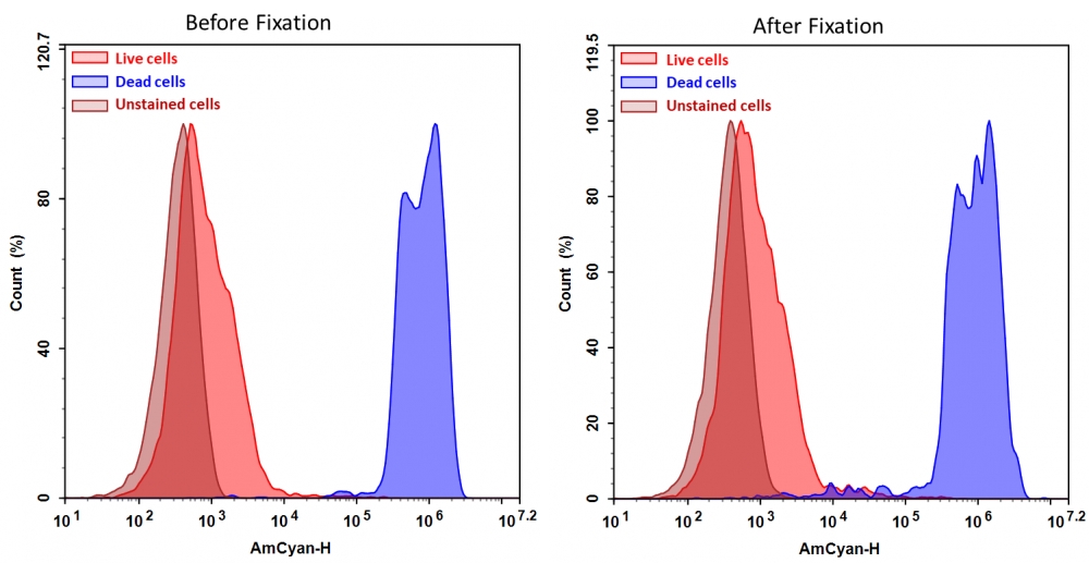 Cell Meter VX450固定化细胞活性染料，不可渗透
