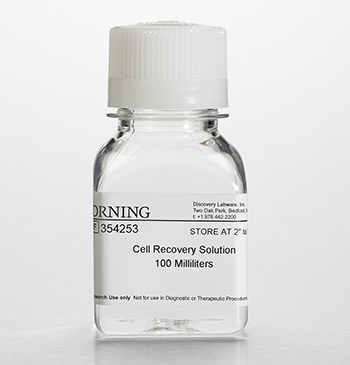 Dispase分散酶，中性蛋白酶，推荐用于收获生长在Matr