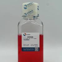 成骨诱导培养基