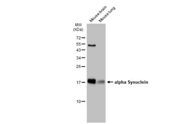 产品细节图片10