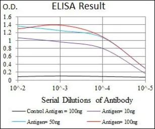 Nkx2.2 antibody [3E4]