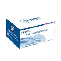 CAR-T细胞制备试剂盒