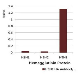 Avian Influenza A virus H5N1 H
