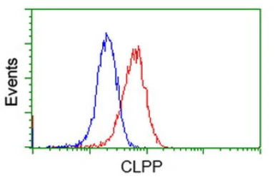 CLPP antibody [1D8]