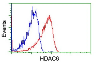 HDAC6 antibody [4C5]
