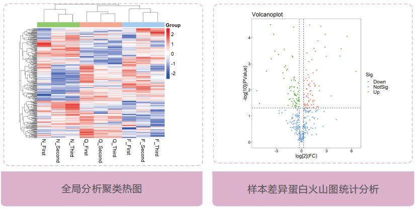 生物信息学分析