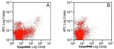 TLR3 antibody [11F8]