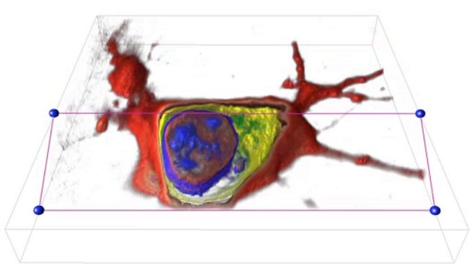 360度全息3D活细胞成像系统