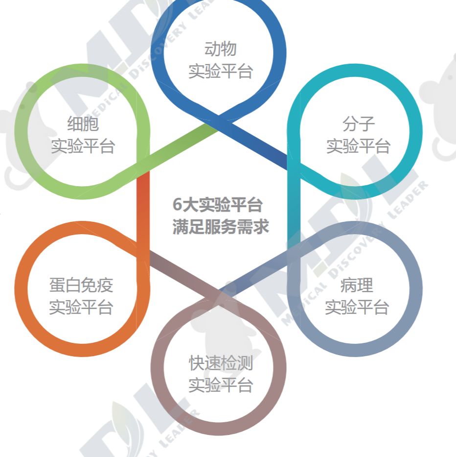 科研实验室定制外包