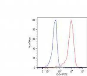 Cytokeratin 18 antibody [C-04]