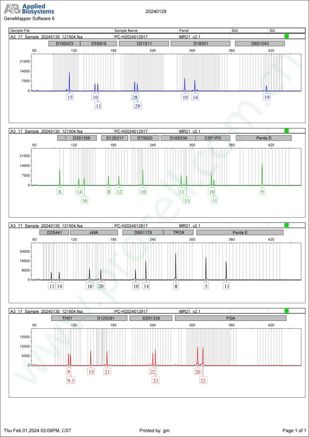 RL95-2（人子宫内膜癌细胞）