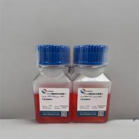 3T3-L1细胞诱导分化培养基