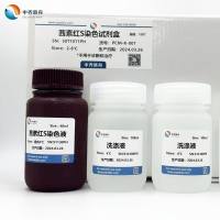 茜素红S染色试剂盒