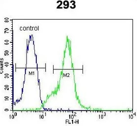 Galectin 9B antibody