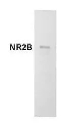 NMDAR2B antibody [NR2B]