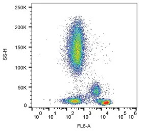 CD4 antibody [MEM-115]
