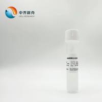 内皮细胞生长因子