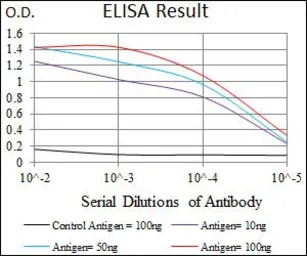 PDE1B antibody [10B10B12]