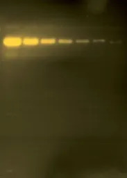 产品细节图片12