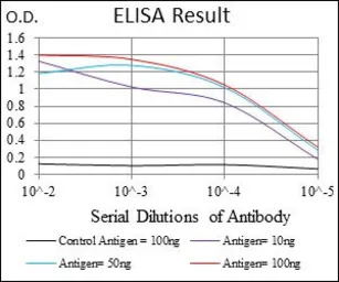 CLGN antibody [1C8B6]