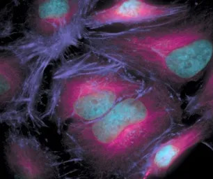 产品细节图片11