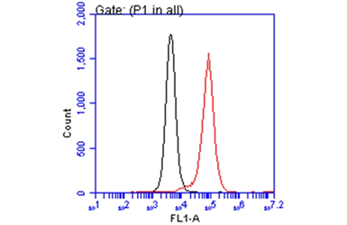 ARID5A antibody [GT921]