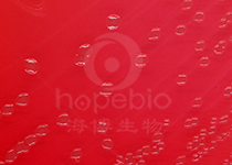 志贺氏菌显色平板(9cm)