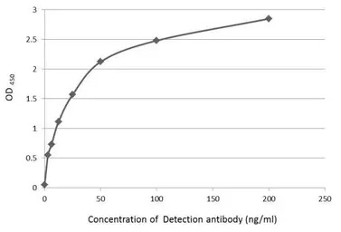 HA tag antibody