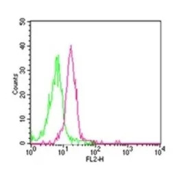 TLR8 antibody [44C143]