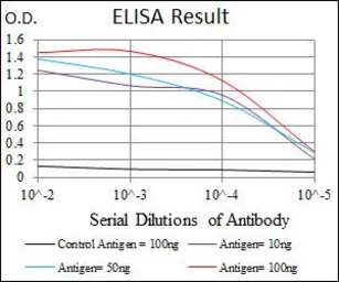c-Fos antibody [2G2]
