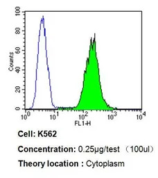 PDI antibody [RL77]
