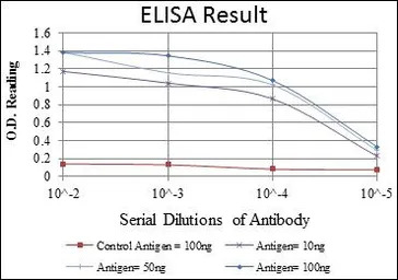 Caspase 8 antibody [1H11]