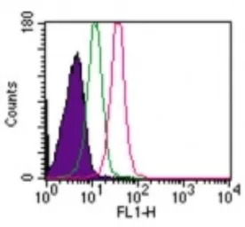 TLR8 antibody [44C143]