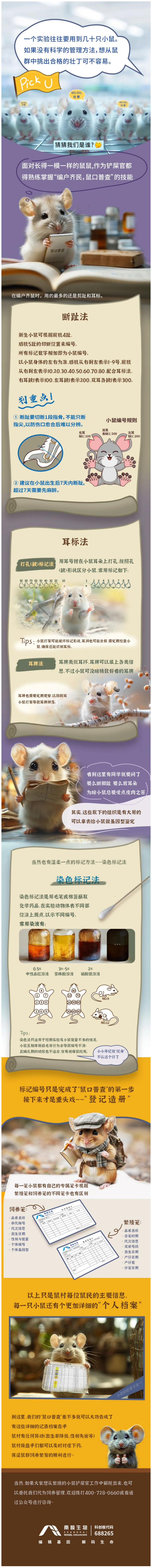 编户齐民 鼠口普查