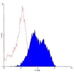 CD71 antibody [DF1513] (FITC)