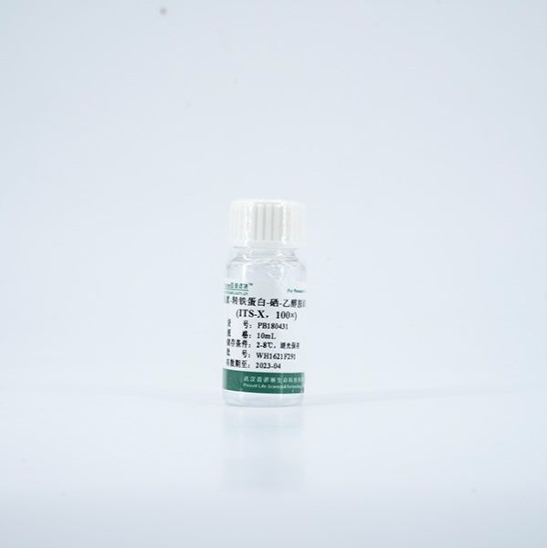 胰岛素-转铁蛋白-硒-乙淳胺添加剂（ITS-X), 100×